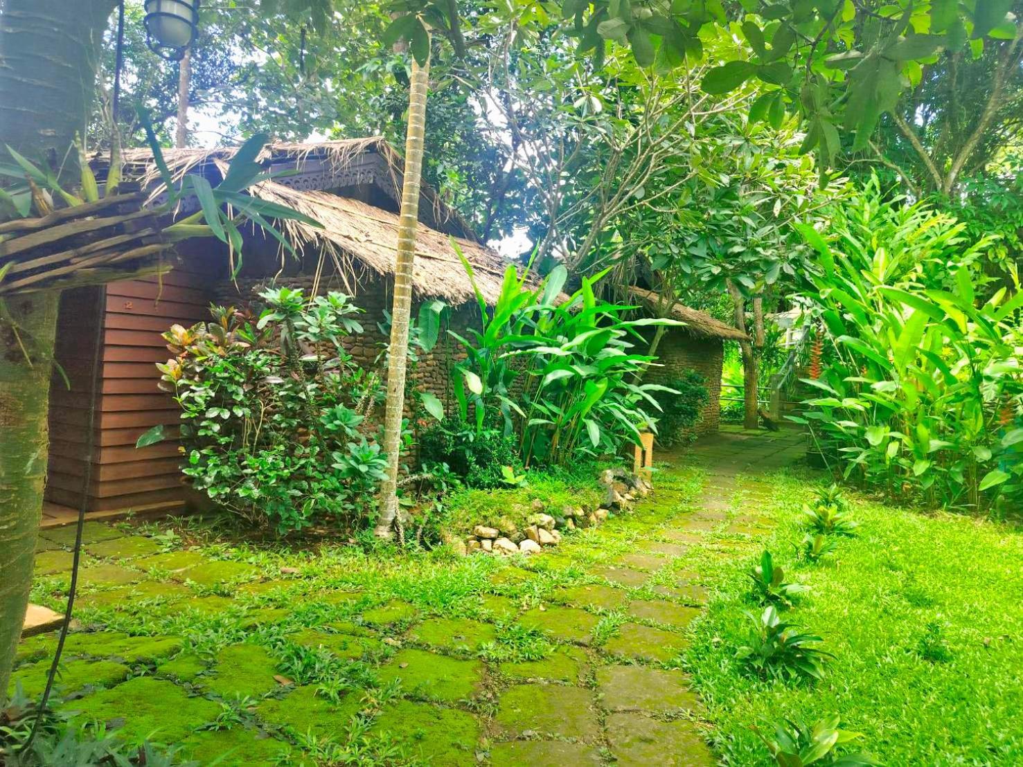 Hot Coffee Guest House And Resort Ban Mae Na Chon Eksteriør bilde